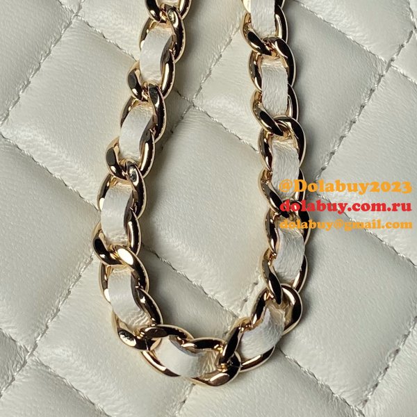 Top Perfect Vanity AP3799 Classic Chain 17cm Designer Bag