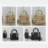 7 Star DIOR lady 17/20/24CM calf togo leather bag