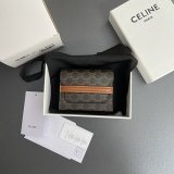 Perfect celine TRIOMPHE wallet