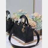 Inspired Lady D-Sire My ABC Dior handbag