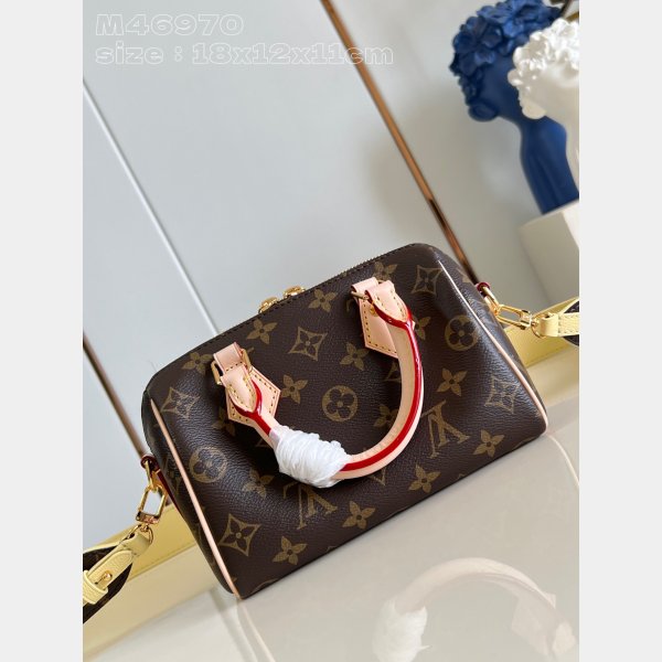 Perfect M46970 Wholesale LV Speedy Louis Vuitton 7 Star Bag