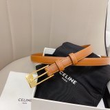 This belt bag celine Inspired