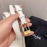 This belt bag celine Inspired