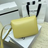 1:1 Wholesale Celine Triomphe Teen Luxury Handbag