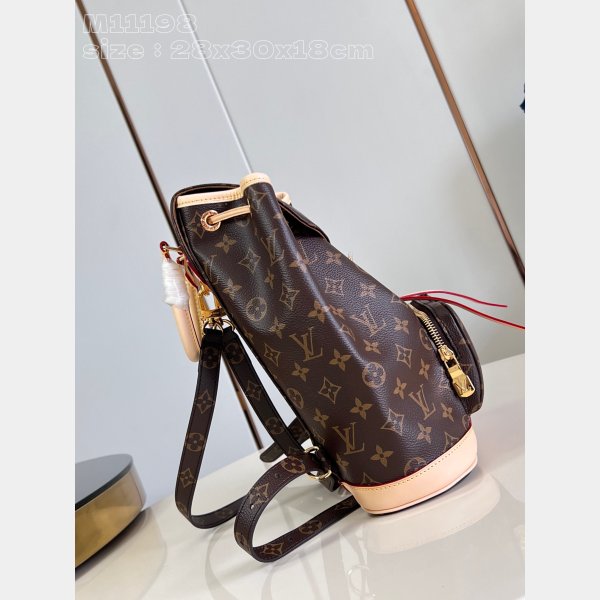 Louis Vuitton Designer Montsouris PM Monogram M11198 Duplicate Bag