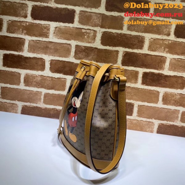 High Quality bag Disney x Gucci small bucket Luxury 602691 bag